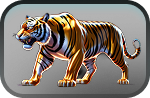 Black Tiger